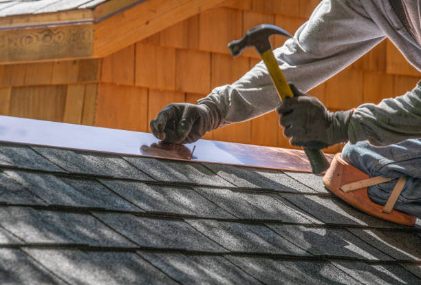 Best Sheet Metal Roofing  in Ellicott City, MD